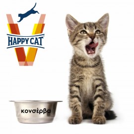 vet happy cat-wet